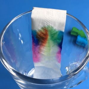 chromatography smarties experiment